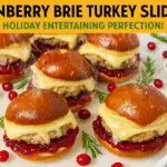 Cranberry brie turkey pretzel sliders recipe - CrennRecipes gourmet appetizers holiday entertaining